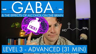 GABA  The Inhibitory Neurotransmitter  Alcohol in the Brain Level 3  Advanced [upl. by Keen553]