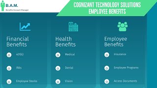 Cognizant Technology Solutions Employee Benefits  Benefit Overview Summary [upl. by Glennon262]