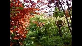 Samhain at Bealtaine Cottage [upl. by Aseen]