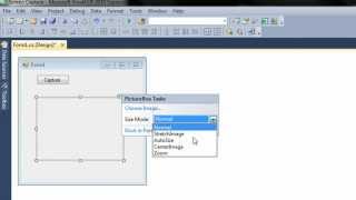 Screen Capture Application  C Tutorial [upl. by Aissatsana113]