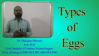 Types of Eggs in EmbryologyI Isolecithal I Telolecithal I Centrolecithal I Alecithal I Microlecithal [upl. by Lynden85]