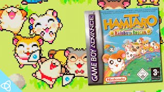 Hamtaro Rainbow Rescue GBA Gameplay  Forgotten Games [upl. by Taggart477]