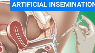 ARTIFICIAL INSEMINATION AND INTRA UTERINE INSEMINATION IUI neet class12 cbse reproduction [upl. by Ylloh425]