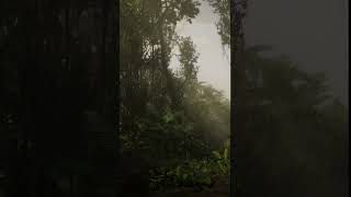 RDR2 Guarma Tropical Jungle 6 rdr2 gamingambience atmosphere gaming [upl. by Kerwon]