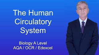 A Level Biology Revision quotThe Human Circulatory Systemquot [upl. by Nybor]