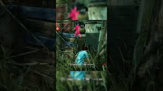 👁️👄👁️ dbd dbdmemes dbdshorts dbdgameplay deadbydaylight dbdsurvivor [upl. by Lertnom]