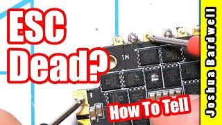 Is Your ESC Broken  HOW TO FIND OUT [upl. by Harolda458]