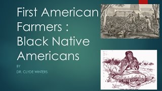 Black Native Americans were not African Slaves [upl. by Ecinue]