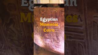 The Mummies of Yuya and Thuya at Egyptian Museum  Cairo 🤯😳 travel shorts [upl. by Rojas660]