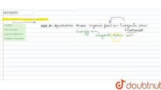 Chemosynthetic bacteria obtain energy from  11  PHOTOSYNTHESIS IN HIGHER PLANTS  BIOLOGY  N [upl. by Japheth661]