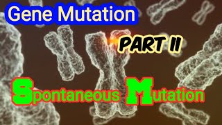 Spontaneous Mutation Depurination amp Deamination of DNA  Gene Mutation [upl. by Issiah]