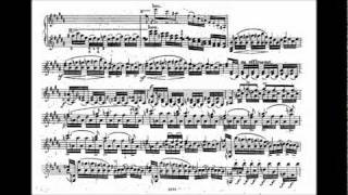 Lipiński Karol 3rd violin concerto [upl. by Huckaby793]