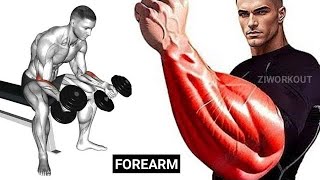 FOREARM WORKOUT  BIG ARMS WORKOUT AT HOME  Grow your Wrist Thicker  How to get Bigger Forearms [upl. by Lyckman]