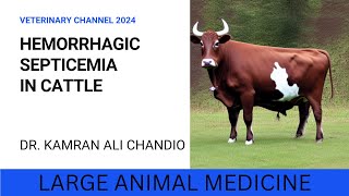 WHAT IS HEMORRHAGIC SEPTICEMIA IN CATTLE [upl. by Akram]