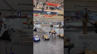 airshow china 2024 The robot wolf are weapon armed 机器狼 airshow2024 [upl. by Alemat801]