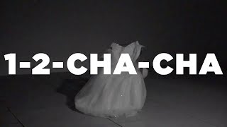 Sal Priadi  12CHACHA Official Lyric Video [upl. by Halika847]