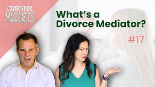 Whats a Divorce Mediator [upl. by Refiffej]