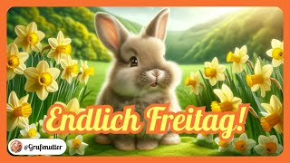 Endlich Freitag Start ins Wochende 🐰🧡  Grüße zum Versenden auf Whatsapp und Co [upl. by Filbert]