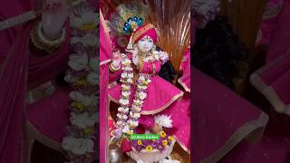 Krishna song krishna krishnabhajan krishnastatus krishnavani shortsytshorts youtubeshortsnew [upl. by Chitkara]