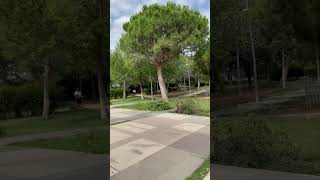 Parque de Hospitalet de Llobregat de Barcelona [upl. by Nlyak711]