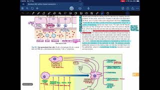 Hepatologylecture04Davidson 24th edition [upl. by Ole]