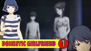 Domestic Girlfriend season 1 Episode 1 in hindi  Anime explanation in hindi  CARRY ANIME [upl. by Ennaerb]