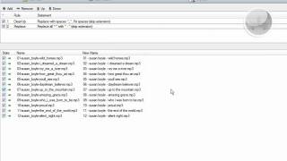 ReNamer [upl. by Direj381]