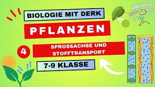 Pflanzen  4  Sprossachse und Stofftransport  7  9 Klasse [upl. by Oisinoid]