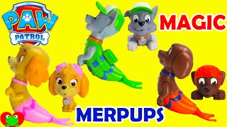 Paw Patrol Magic Merpups Saves Mermaids with Shopkins Surprises [upl. by Romeon541]