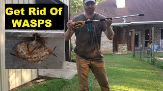 Never Buy WASP Spray again  Eliminate WASP Nests Fast [upl. by Anicul847]