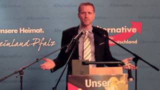 Petr Bystron AfD über das Versagen der Bundesregierung [upl. by Alrak]