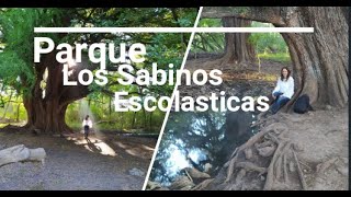 Parque Los Sabinos Escolásticas [upl. by Yanal75]