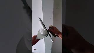 Spreading UltraThin Wall Putty  Smooth Perfection  ASMR So Satisfying ✨ dotrongnha686 WallPutty [upl. by Zadack]