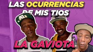 Los MEJORES VIDEOS De Tio RADA ❌ Tio HENRY quotLa Gaviotaquot  Las Ocurrencias De Mis Tios [upl. by Conover710]