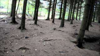 BAND OF BROTHERS FOREST Today Bastogne Belgium HD [upl. by Ceciley829]