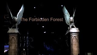 Forbidden Forest Harry Potter Studios London [upl. by Lindemann717]