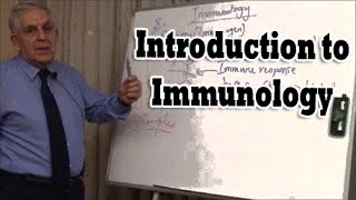 Introduction to Immunology [upl. by Fanchan]