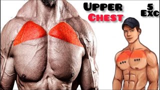 4 BEST CHEST EXERCISES WITH DUMBBELLS ONLY  Unseen Fitness Vision [upl. by Hazard]