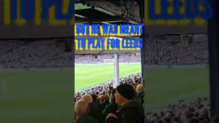 Leeds Fans NEW Stuart Dallas Song shorts [upl. by Kidd554]