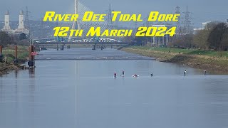 River Dee Tidal Bore 12th March 2024 [upl. by Fi]