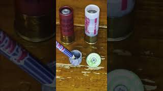 Best shotgun slug for Bear defense [upl. by Barry516]