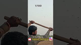 1day 100 Dey 🚜hard challenge Kansa farming farminglife farming kansafarming farmingchallenge [upl. by Laeira]