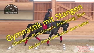 S11 Stangenarbeit an der Hand und unter dem Sattel Abstände Linien Übungen Gymnastik für Pferde [upl. by Eisac522]