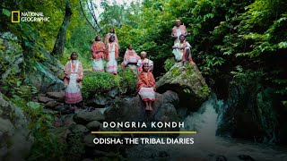 Dongria Kondh  Odisha The Tribal Diaries  National Geographic  PartnerContent [upl. by Dloreg]