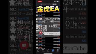 【金虎EA】20240524〜31運用実績！fx fxtrading [upl. by Hendricks]