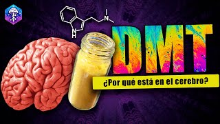 DMT 🧠 ¿El neurotransmisor de la conciencia [upl. by Ennovehs]