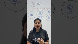 Amitosis  Direct Cell Division  Cell Cycle amp Cell Division  Class 11 Biology NEET amitosis neet [upl. by Dlnaod]