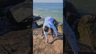 Catch amp Release FLUKEFLOUNDER off the rocks saltwater fishingvideos nyc fishinggirls fishing [upl. by Idroj]