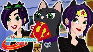 Les meilleurs épisodes de Catwoman  DC Super Hero Girls en Français [upl. by Sasnett]