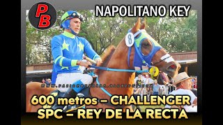 NAPOLITANO KEY COPA CHALLENGER SPC  HIPODROMO GRAL BELGRANO POSADAS  MNES 06102024 [upl. by Wake662]